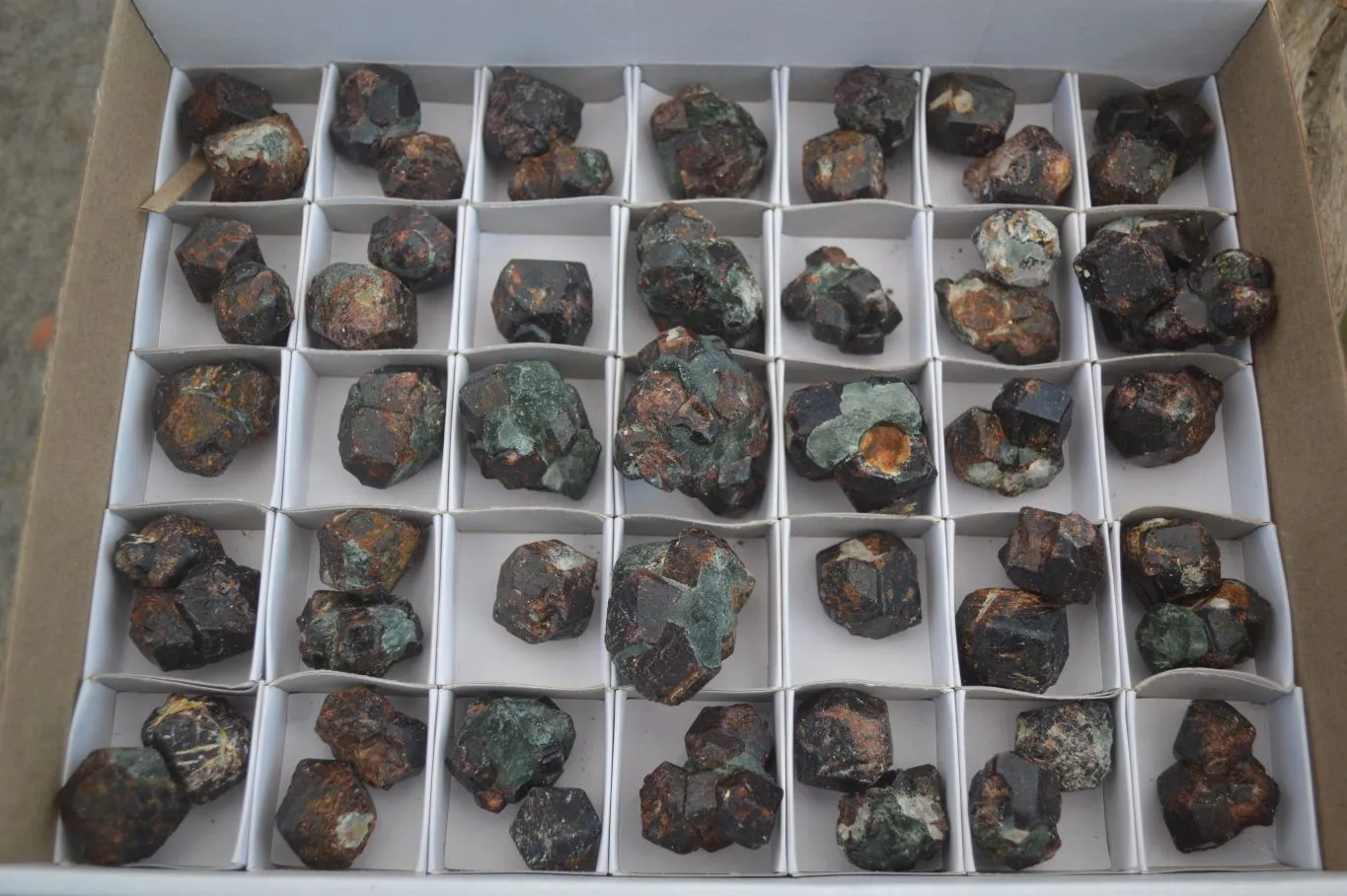 Natural Red Pyrope Garnet Crystals  x 55 From Zimbabwe