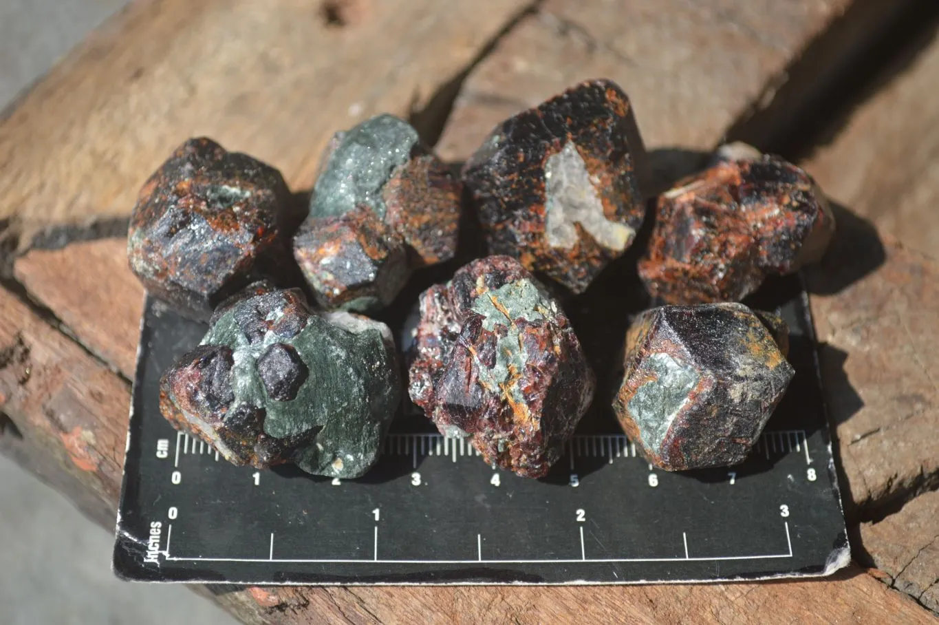 Natural Red Pyrope Garnet Crystals  x 55 From Zimbabwe