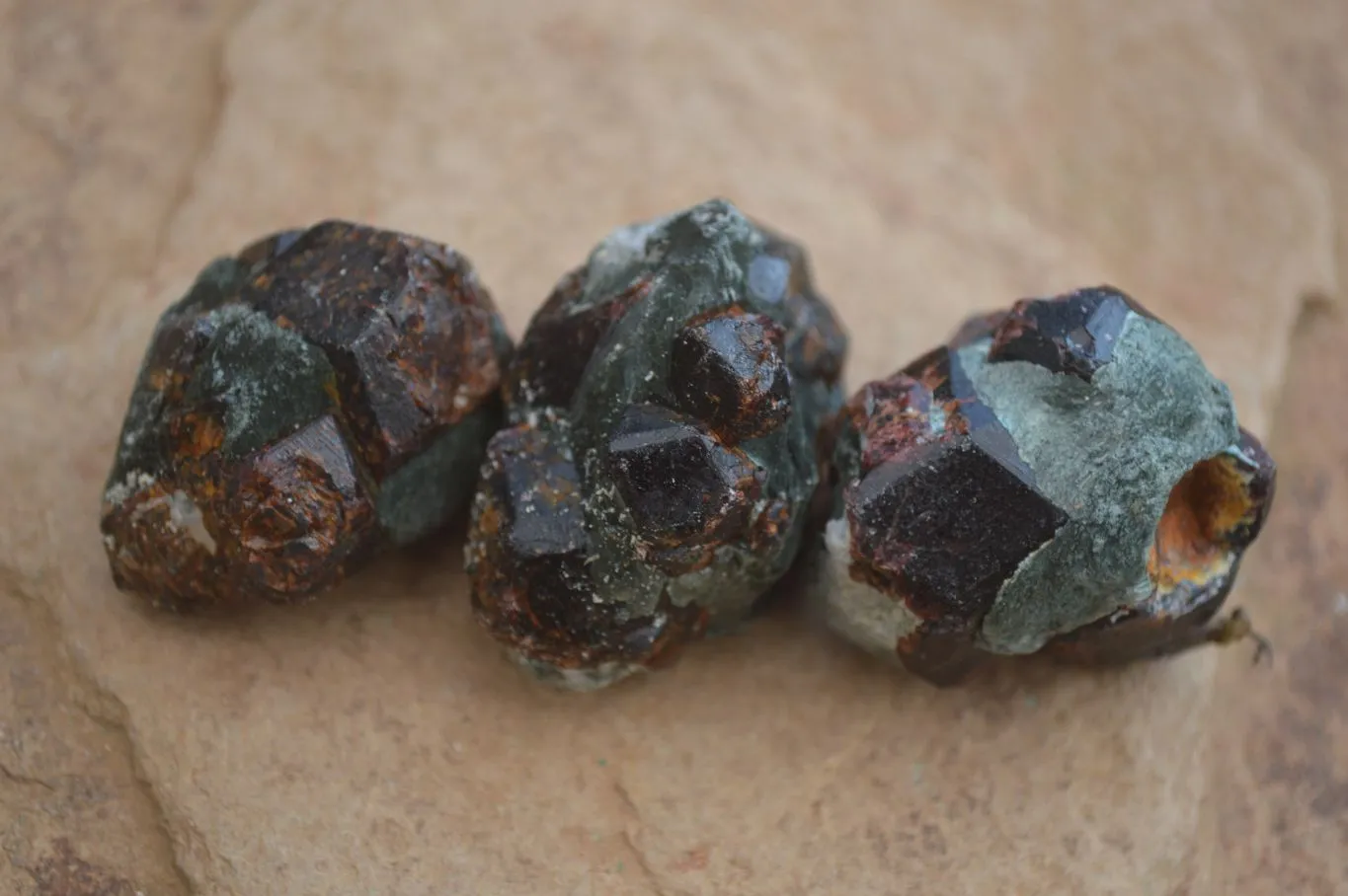 Natural Red Pyrope Garnet Crystals  x 55 From Zimbabwe