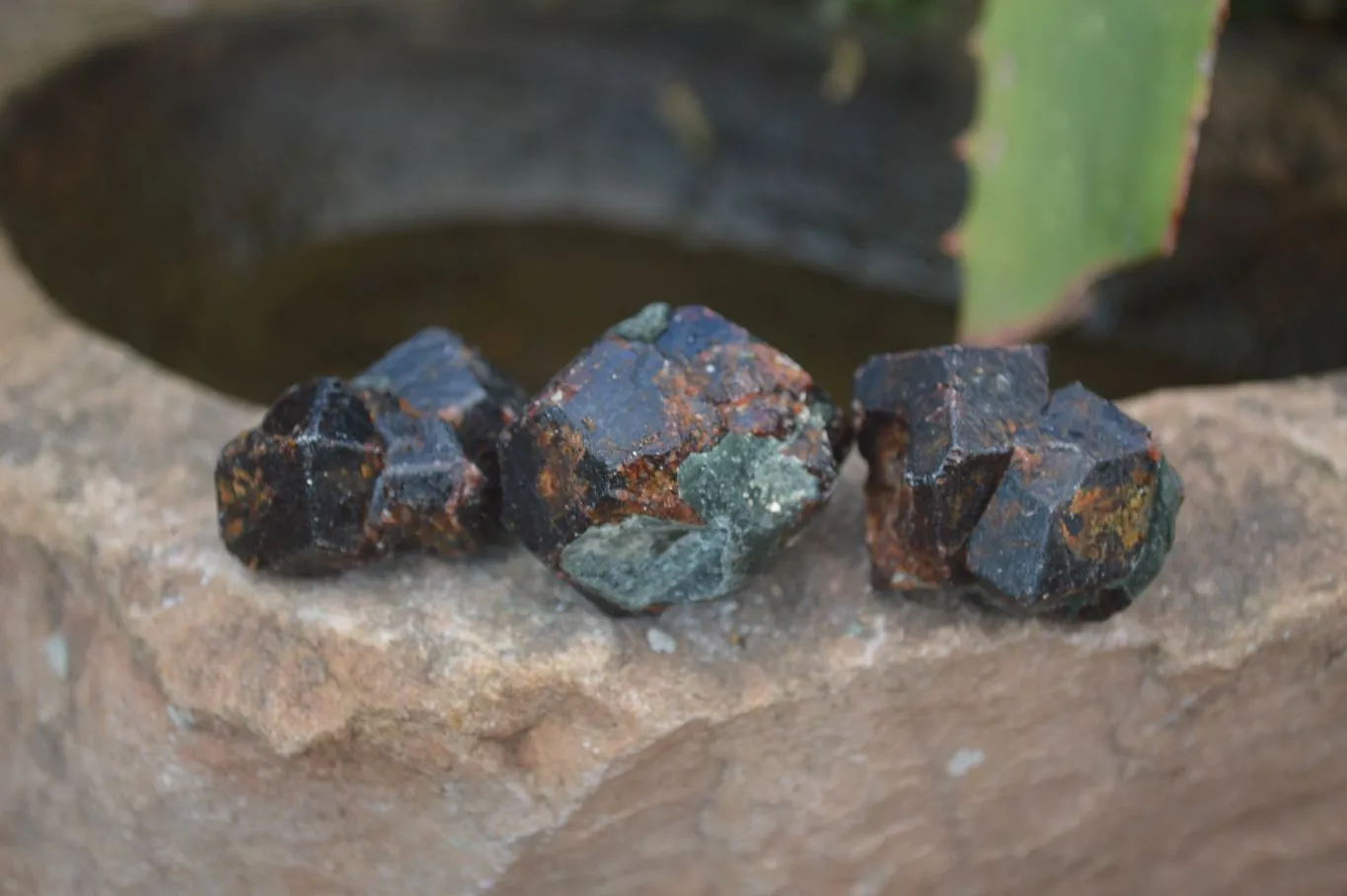 Natural Red Pyrope Garnet Crystals  x 55 From Zimbabwe