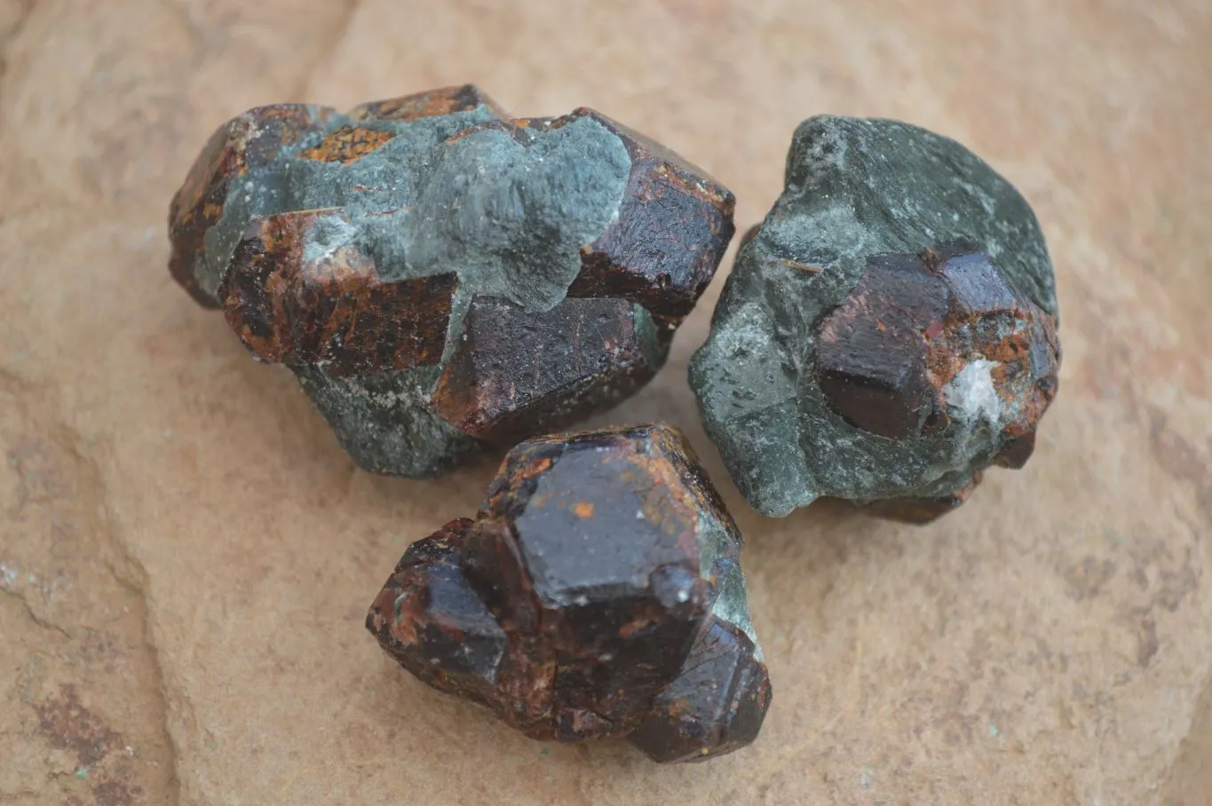 Natural Red Pyrope Garnet Crystals  x 55 From Zimbabwe