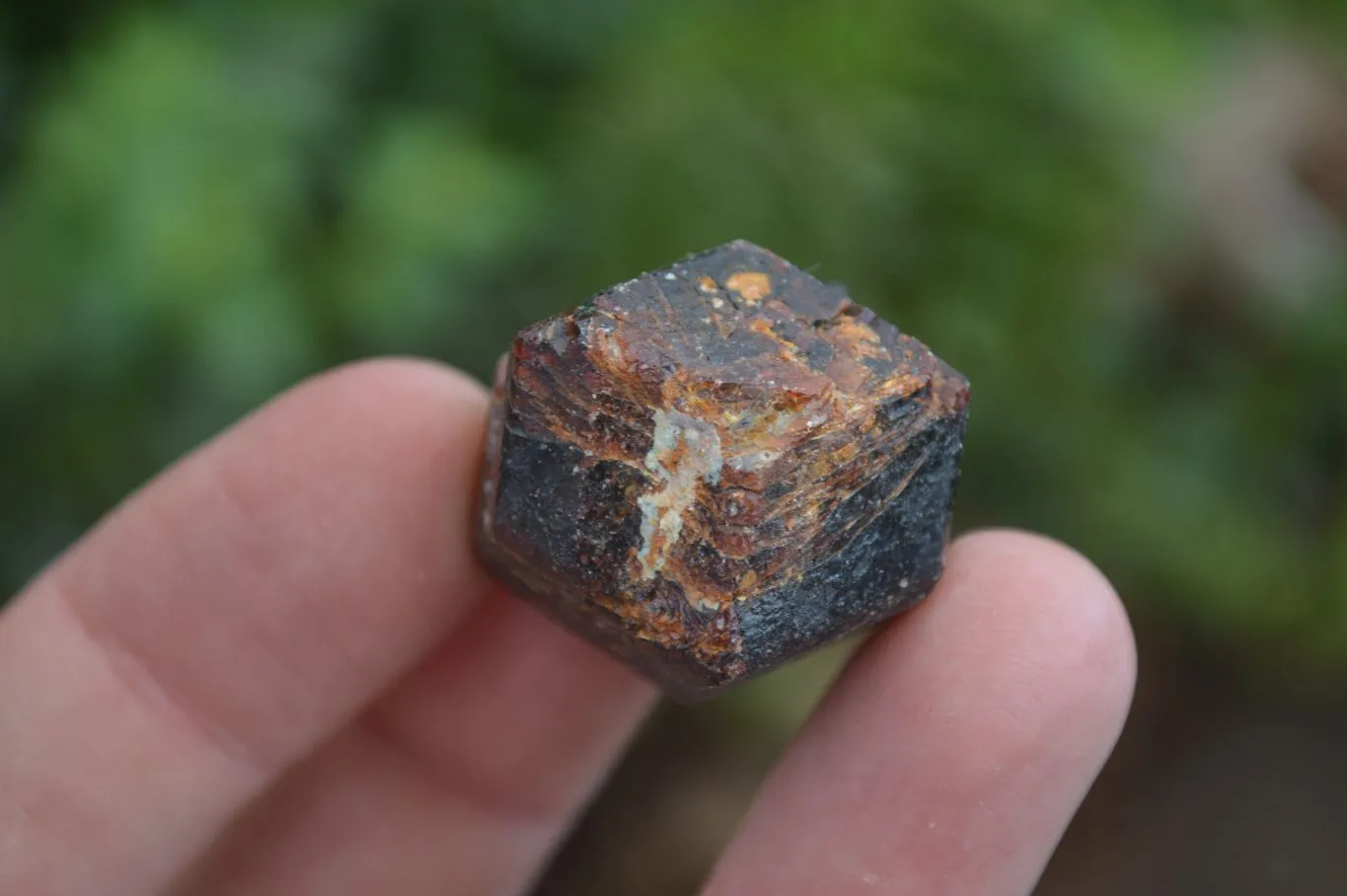 Natural Red Pyrope Garnet Crystals  x 55 From Zimbabwe
